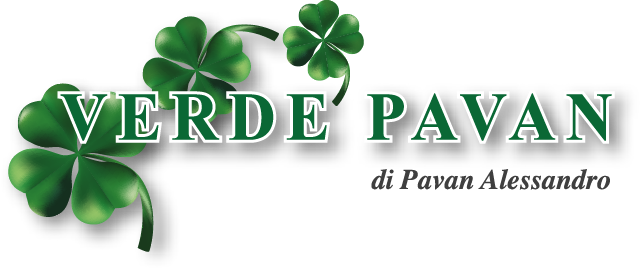 Giardinaggio Treviso, Potatura alberi - VerdePavan